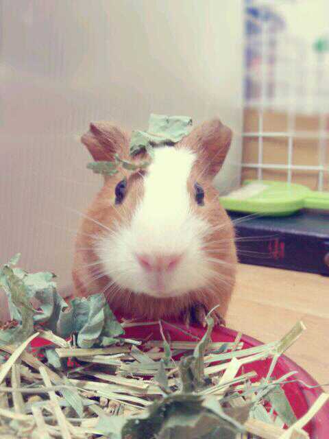 오라픽스 포스팅 사진 (2).jpg