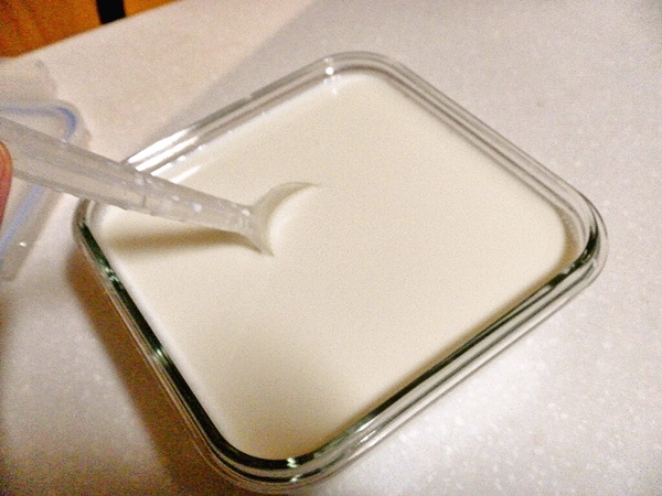 요거트만들기 (5).jpg