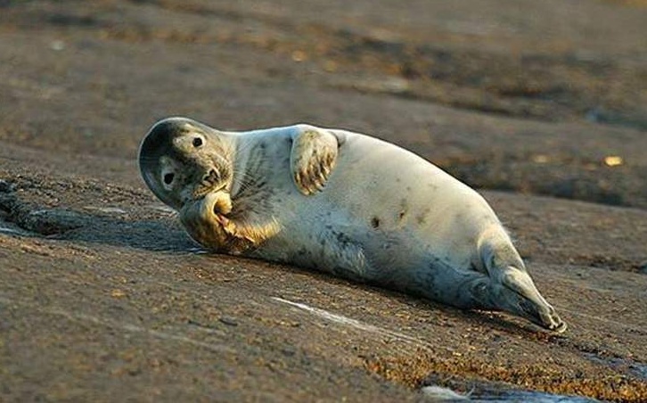 계속 해보렴.jpg