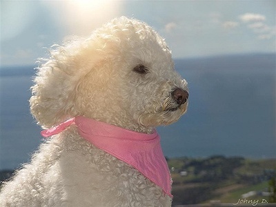 산은 산이요.jpg