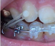 2011-10-07 08.59.39.jpg