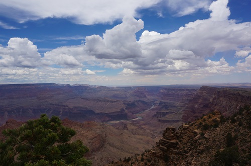 오라픽스 치아교정 포스팅(11).JPG