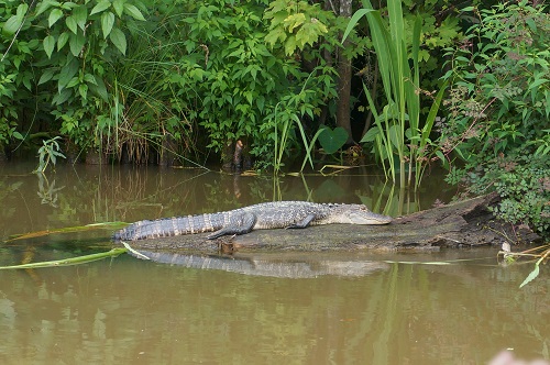 오라픽스 치아교정 포스팅(9).JPG