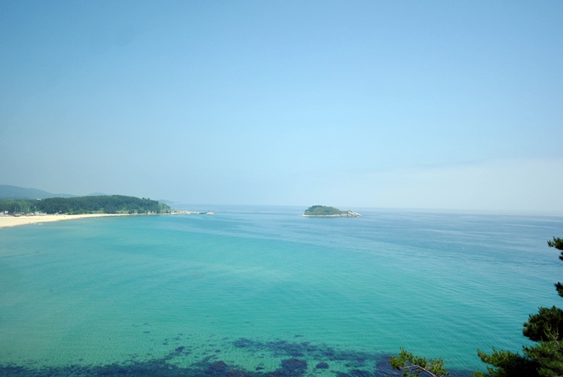 27. 킬본교정 (9).JPG