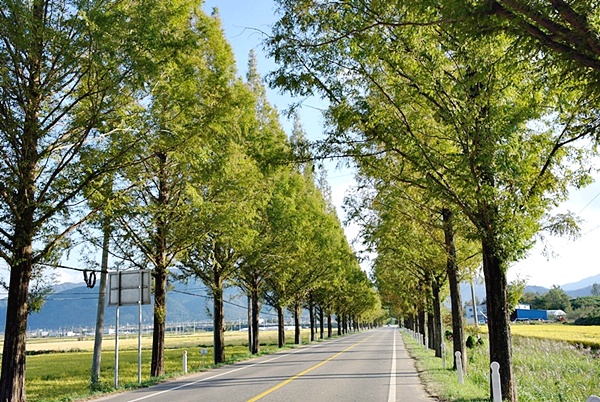 21.킬본교정 (10).JPG