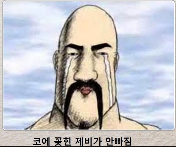 코에서 제비가.jpg